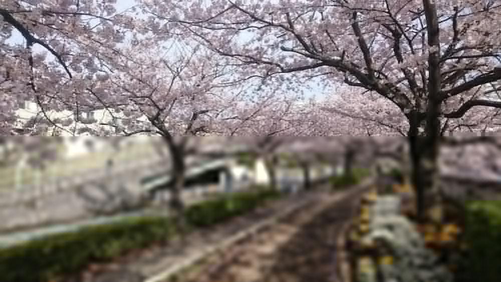 فندق هين نا ميهاما طوكيو باي Urayasu المظهر الخارجي الصورة